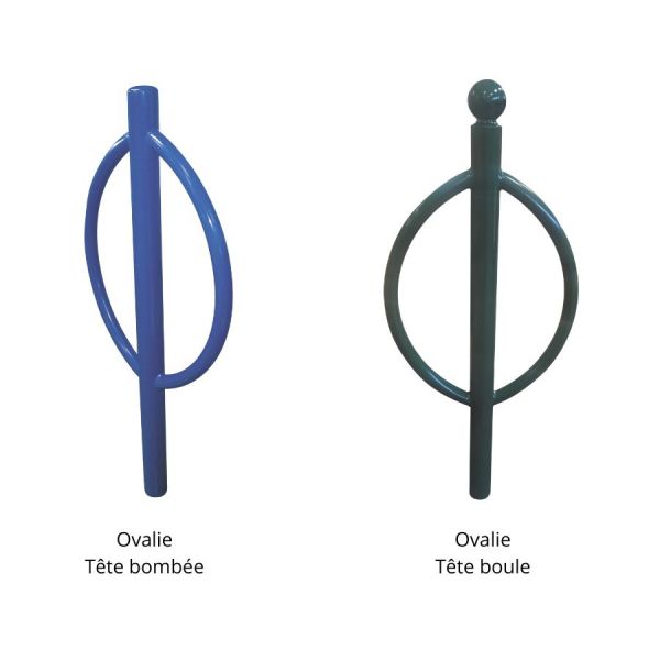 Support cycles Ovalie 